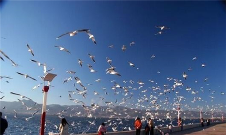 空氣儲(chǔ)罐廠家淺析端午時(shí)節(jié)“秋高氣爽”旅游理想選擇 空氣儲(chǔ)罐廠家淺析端午時(shí)節(jié)“秋高氣爽”旅游理想選擇